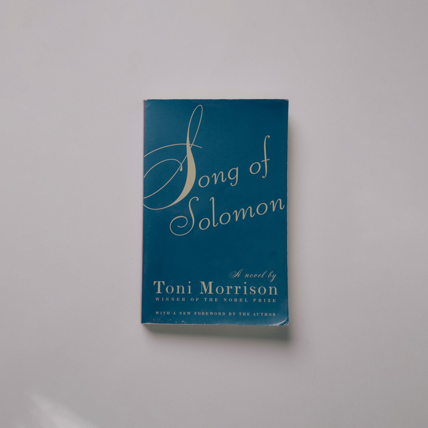 Song of Solomon (Fiction)